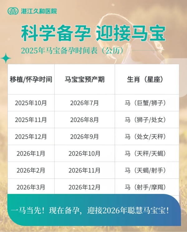 备孕马宝宝